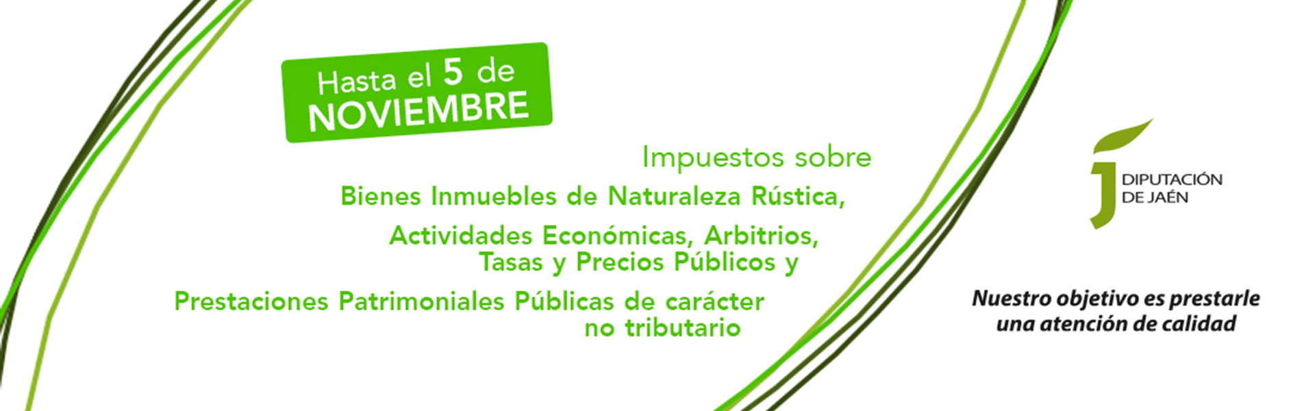 dipu-impuestos